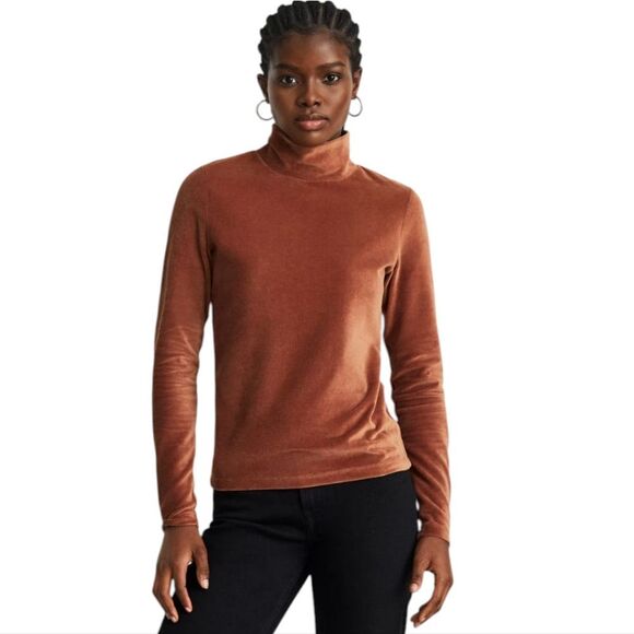 SOLD Everlane Burnt Orange Velvet Turtleneck Pullover Long Sleeve Top Size XS - Picture 1 of 7